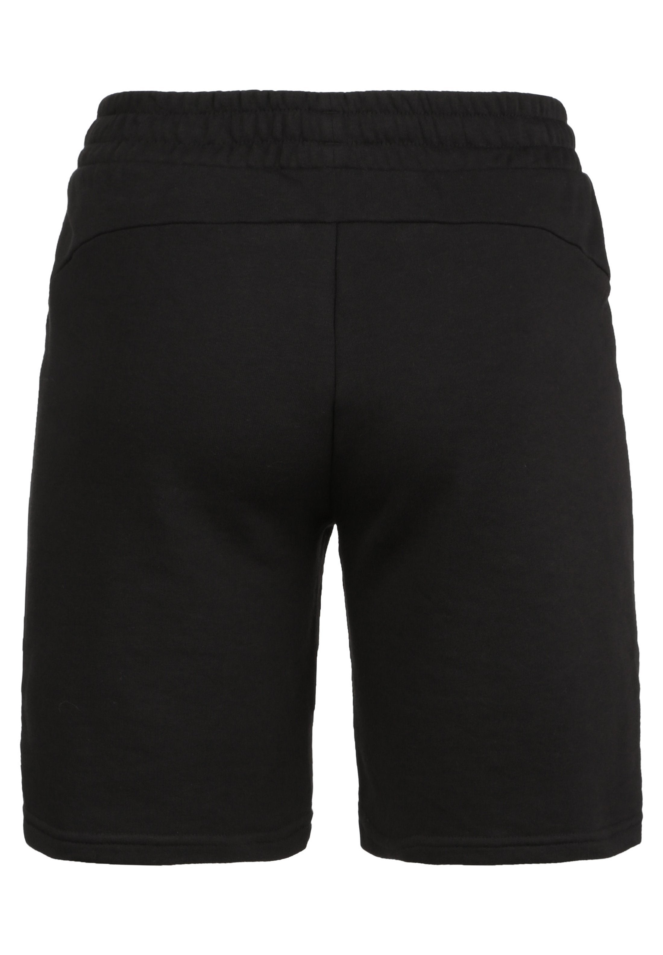 Puma TEAMGOAL 23 CASUALS TRAININGSSHORT HERREN