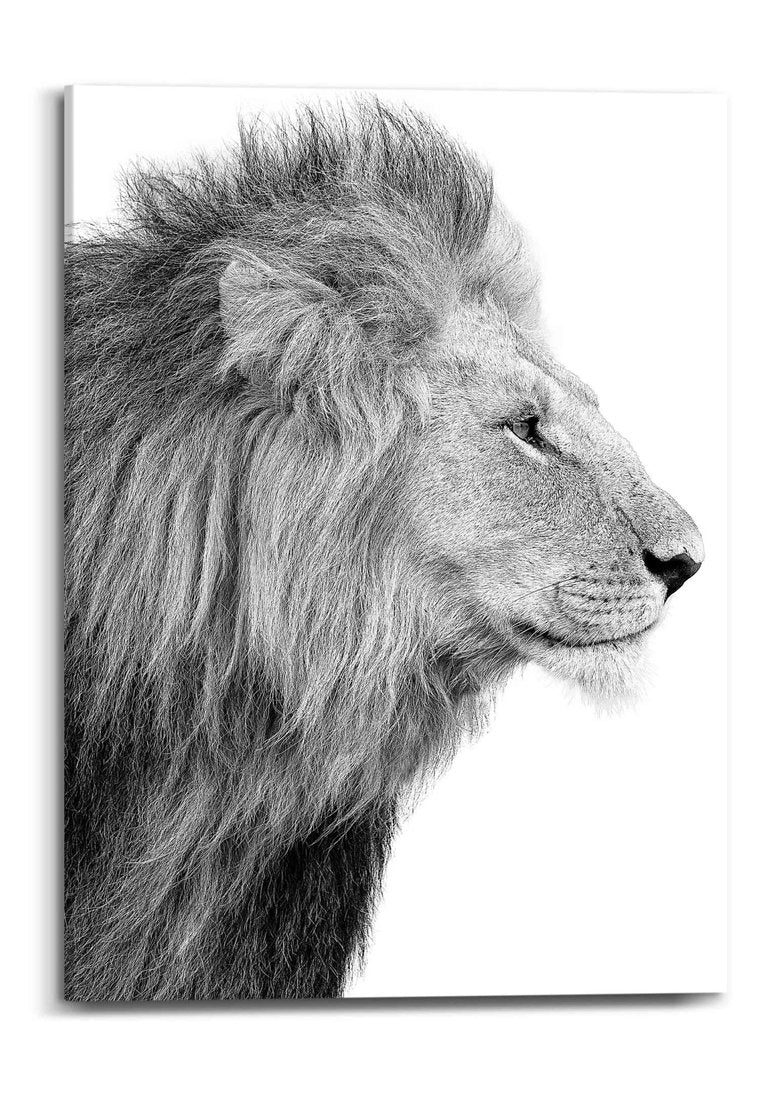 Orange Wallz LION HEAD