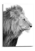 Orange Wallz LION HEAD