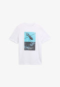 TOM TAILOR MIT FOTOPRINT - Print T-shirt - white