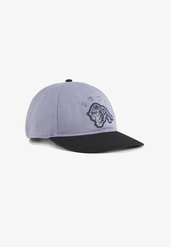 Puma VINTAGE LOW CURVE  - Cap - gray sky