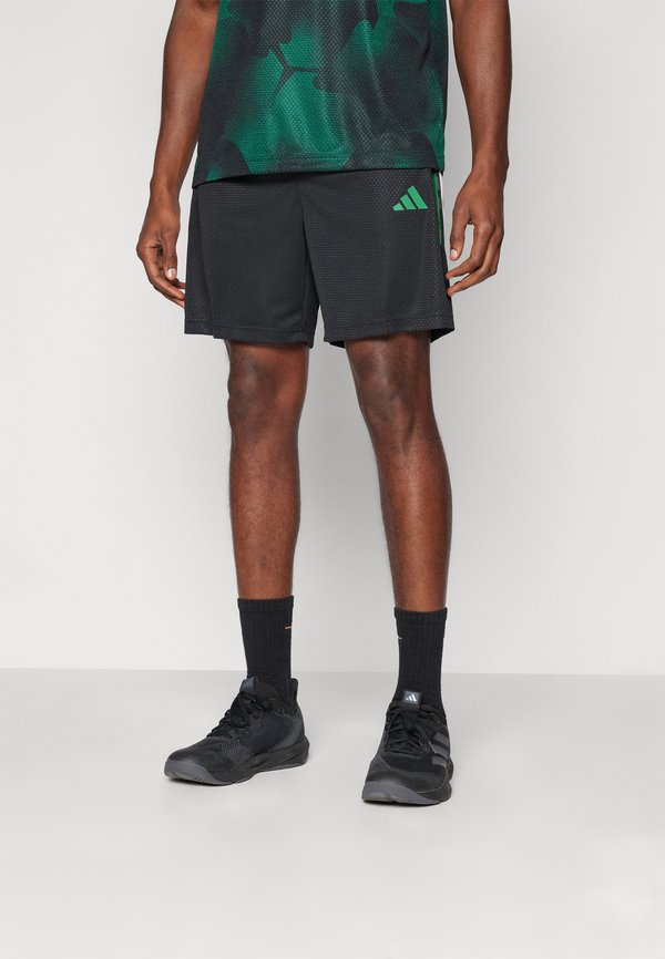 adidas Sportswear TIRO - Sports shorts - black/blanch green/dark grey