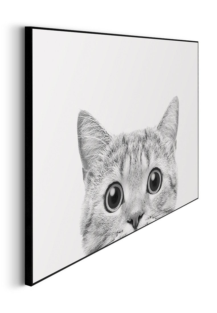 Orange Wallz CATS EYES