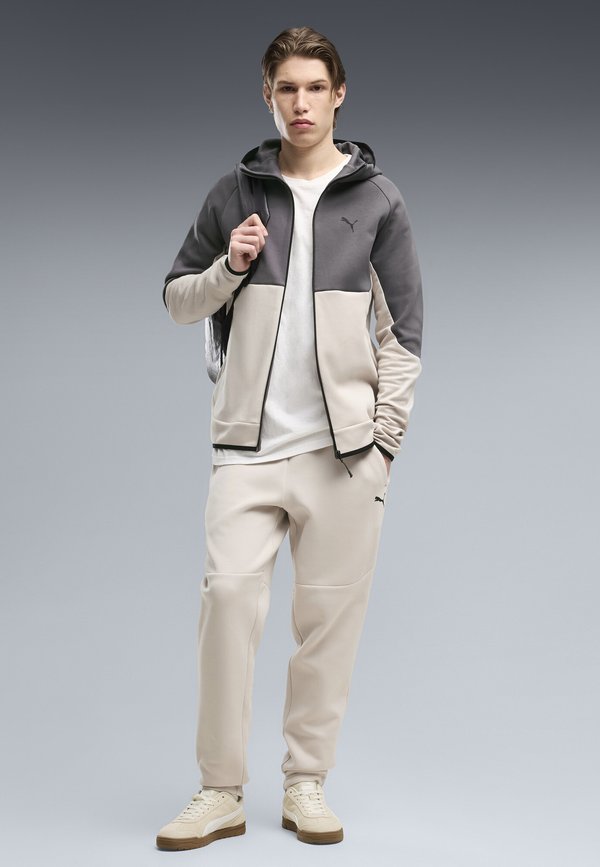 Puma PUMATECH ELEVATED SLIM KAPUZENJACKE - Zip-up sweatshirt - silver fog