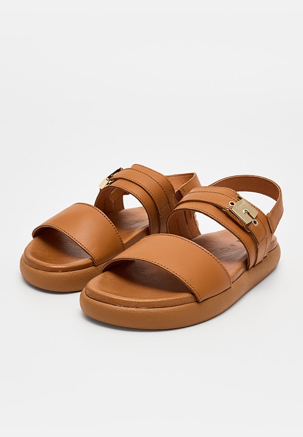 Scholl TAYLOR