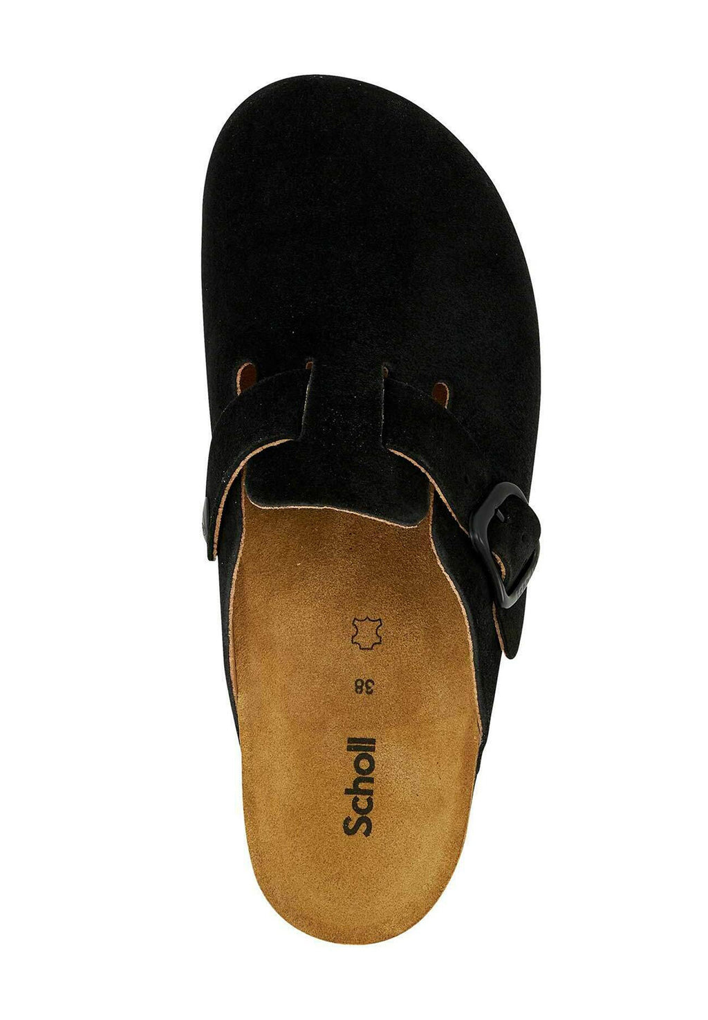 Scholl FAE NEW