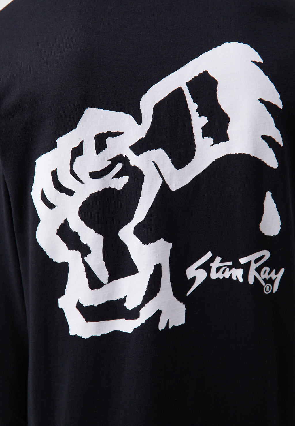 Stan Ray SOLIDARITY TEE