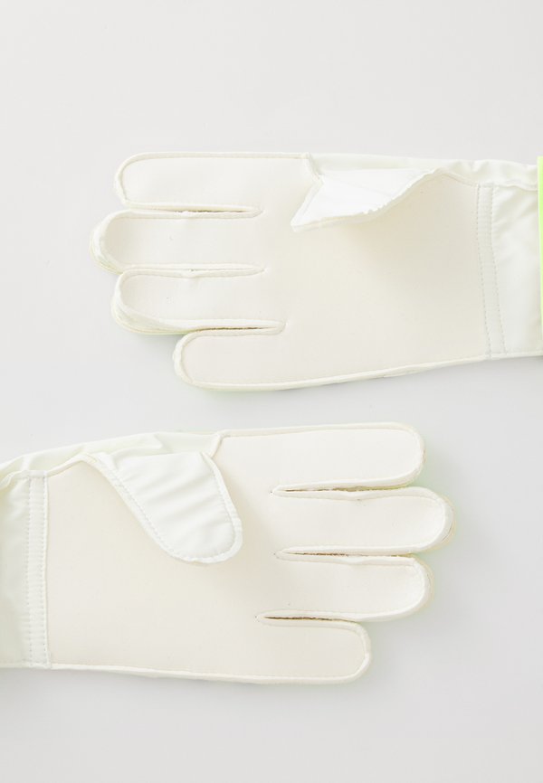 adidas Performance PREDATOR GLOVE TRAINING