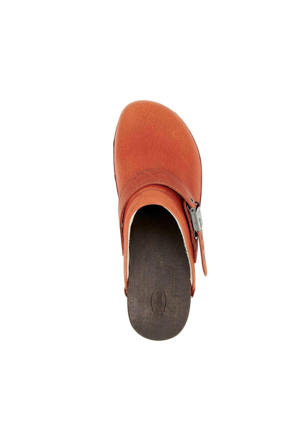 Scholl ROBIN