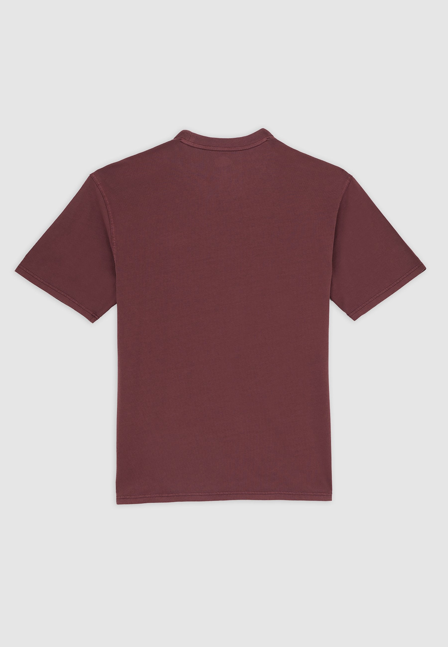 Dickies PLENTYWOOD TEE