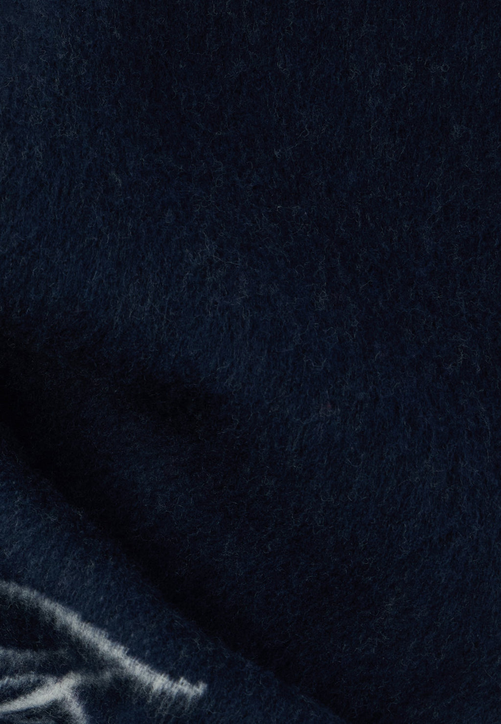 PURE WOOL LOGO FRINGE SCARF Media 2