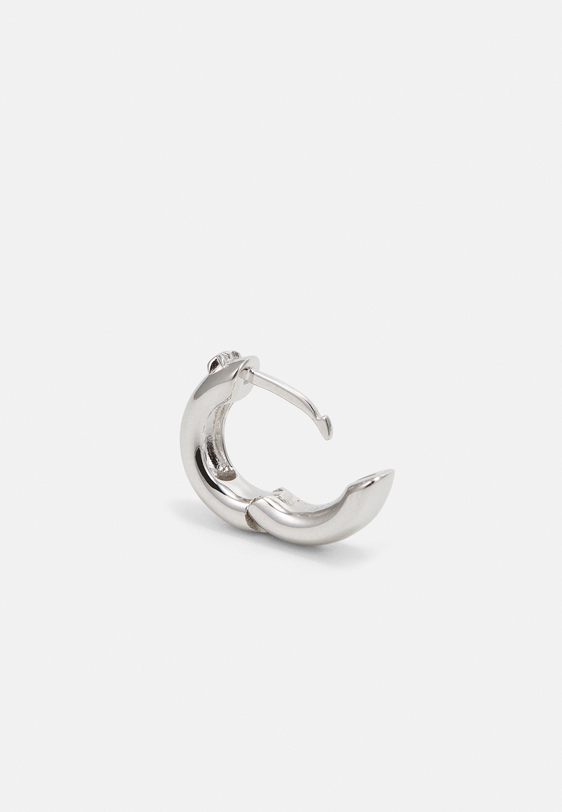 EARRING Media 2