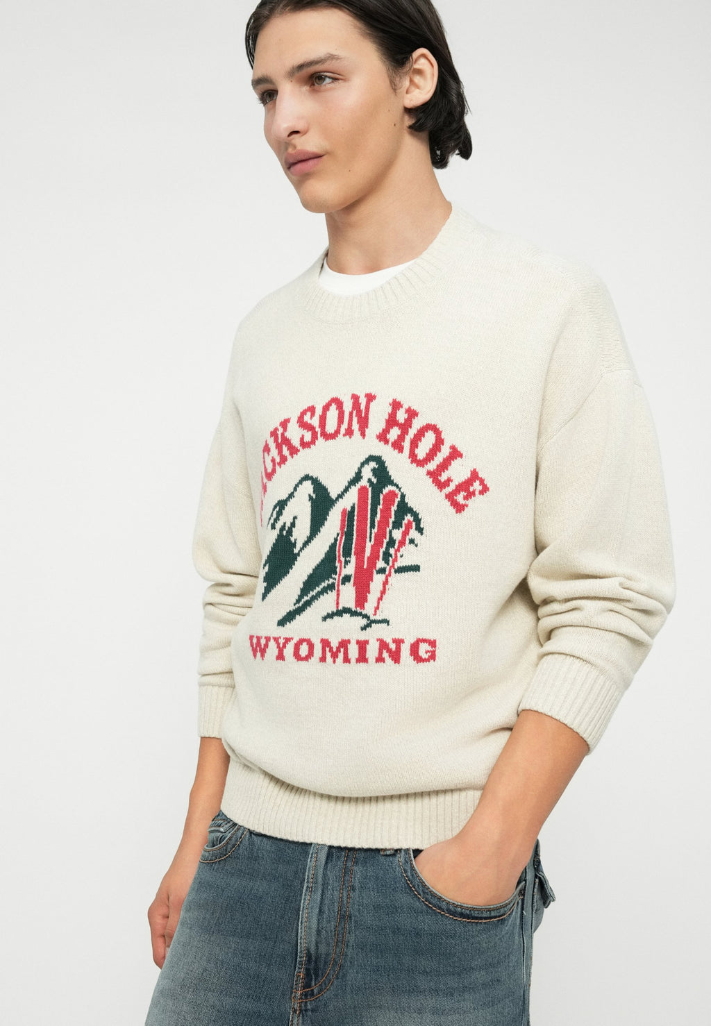 Hollister Co. INTARSIA CREW