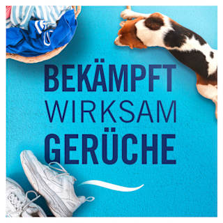 Duftstecker Nachfüllpack Mallorca 3Volution Febreze