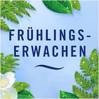 Lufterfrischer Car Frühlingserwachen  Febreze