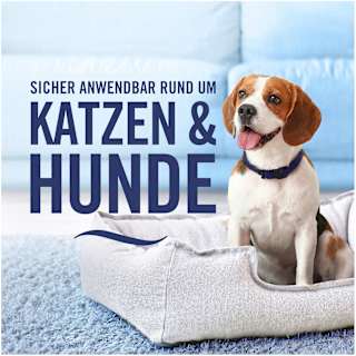Textilerfrischer Lenor Amethyst Blütentraum  Febreze
