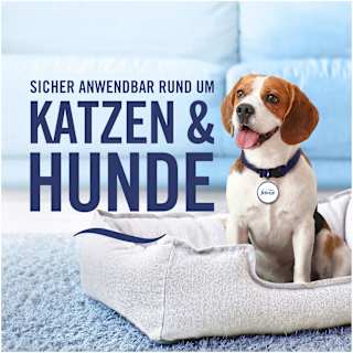 Textilerfrischer Lenor Amethyst Blütentraum  Febreze
