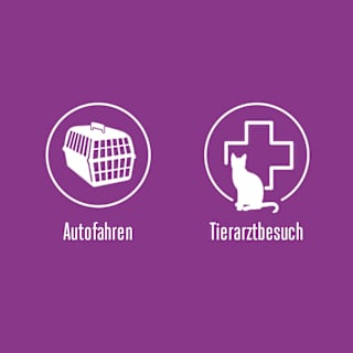 Entspannungsspray "Classic", Transportspray für Katzen Feliway
