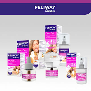 Nachfüllpack für Pheromonverdampfer "Classic" für Katzen (3 Stück) Feliway