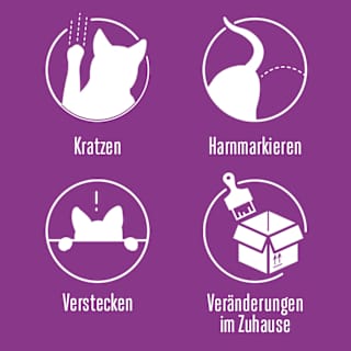 Nachfüllpack für Pheromonverdampfer "Classic" für Katzen (3 Stück) Feliway