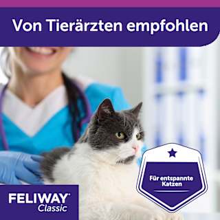 Nachfüllpack für Pheromonverdampfer "Classic" für Katzen (3 Stück) Feliway