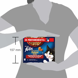 Nassfutter Katze, Sensations Gelée - Geschmacksvielfalt vom Land, Multipack (24x85 g) Felix