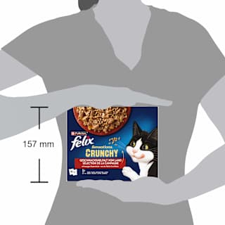 Nassfutter Katzen, Crunchy Geschmacksvielfalt vom Land, Multipack (20x85g + 2x40g) Felix