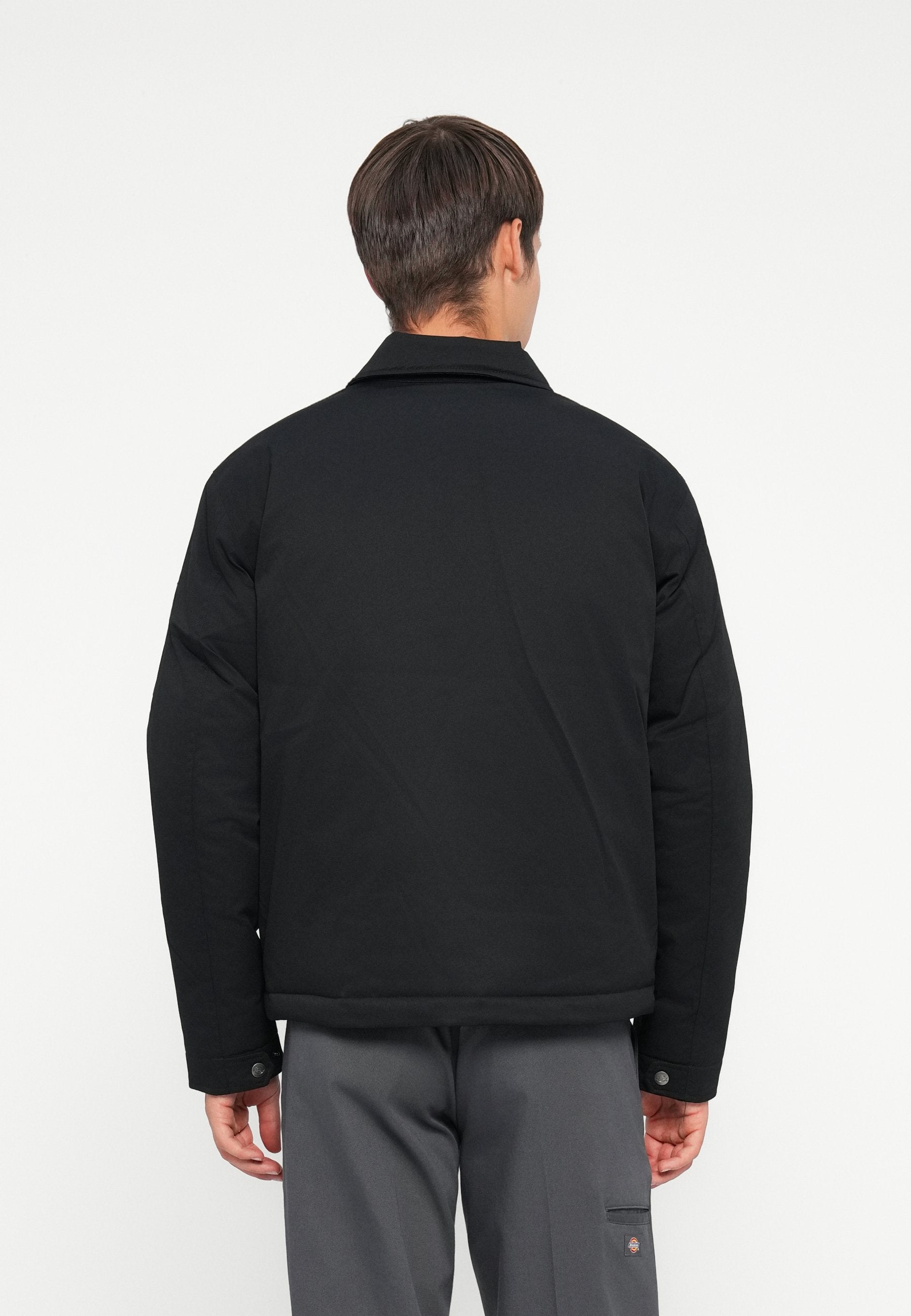 Dickies EISENHOWER PUFFER