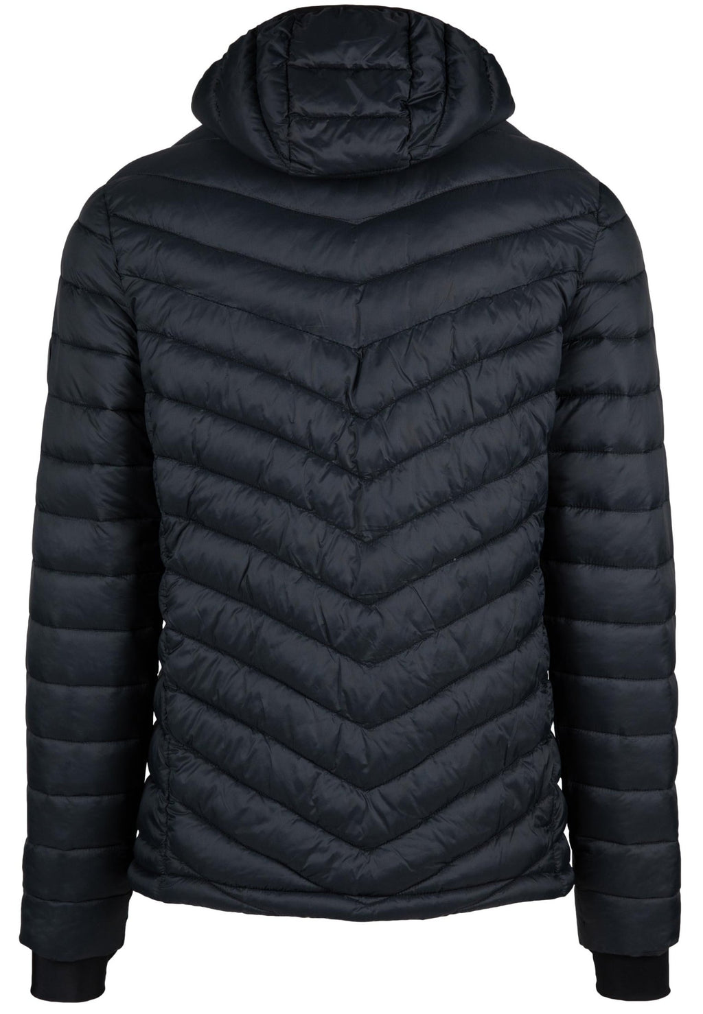 Gorilla Wear OSBORN