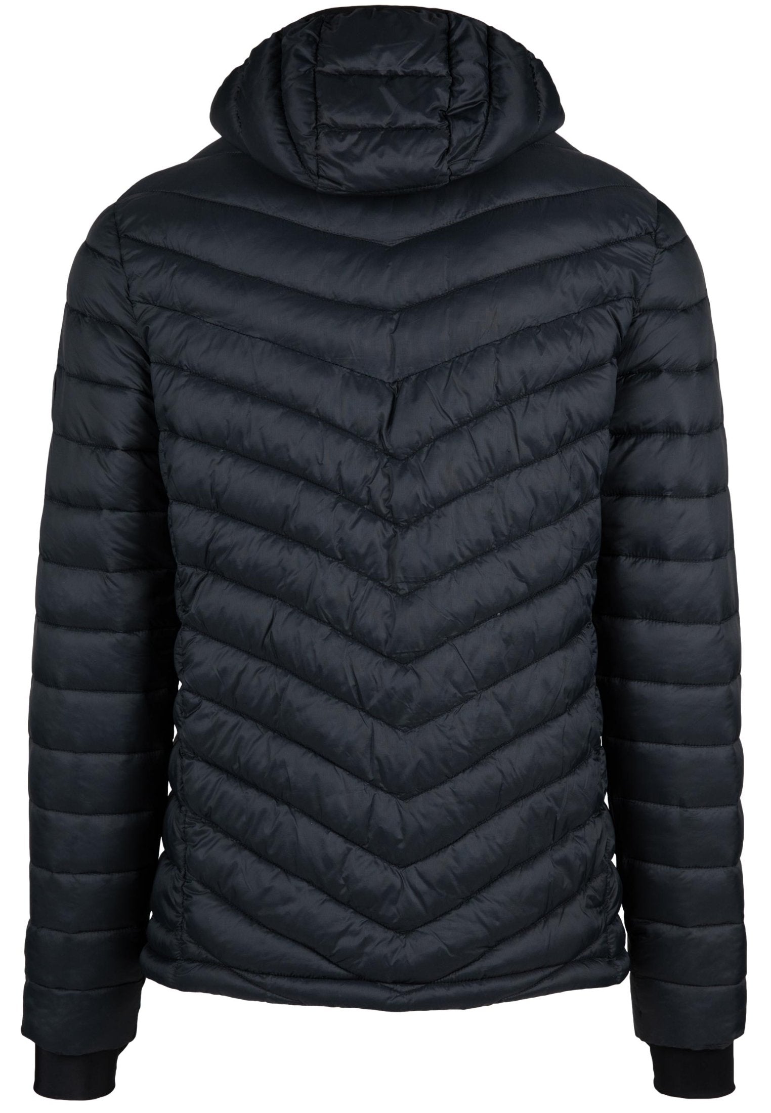 Gorilla Wear OSBORN