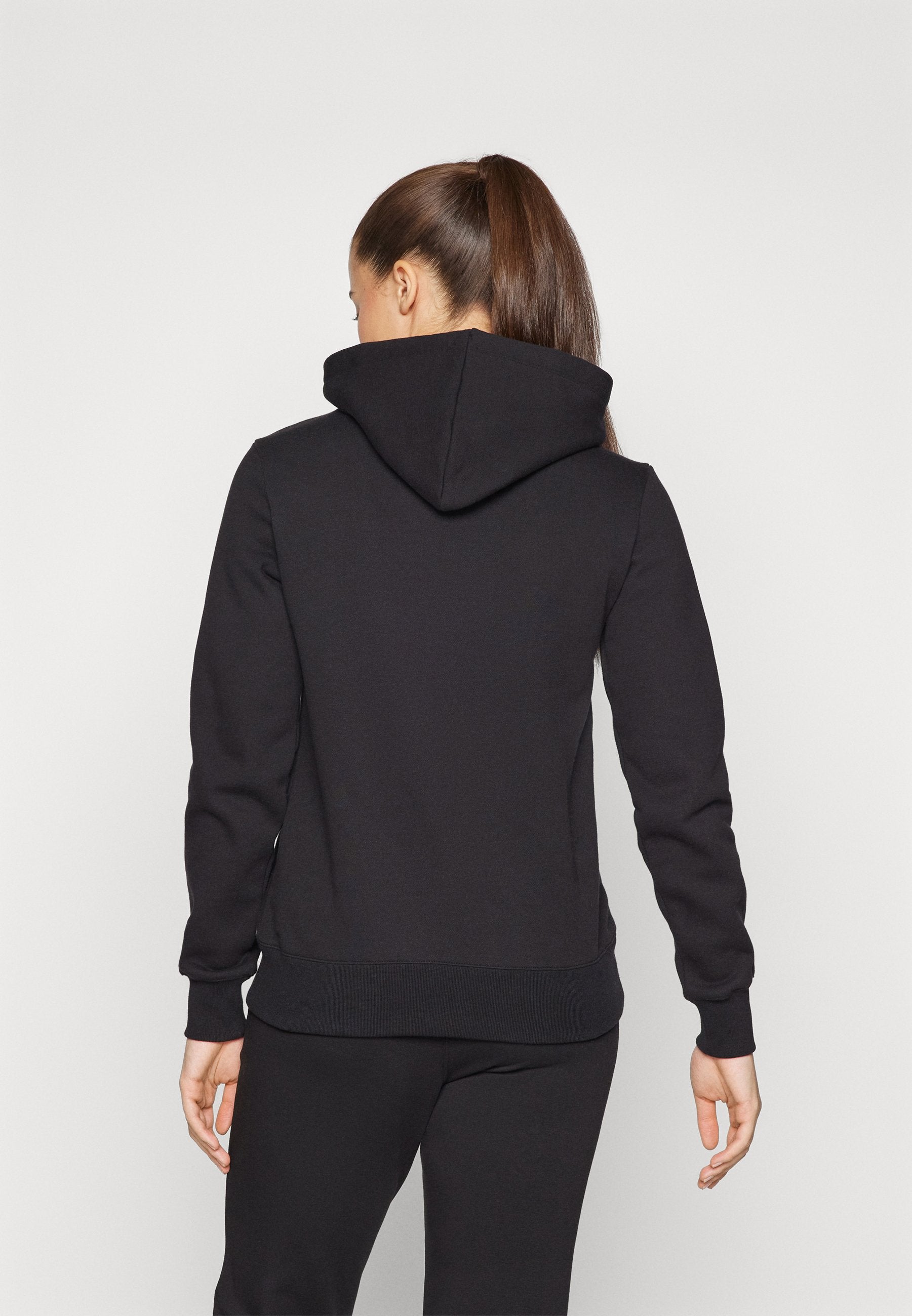 Champion ICONS HOODIE SMALL LOGO