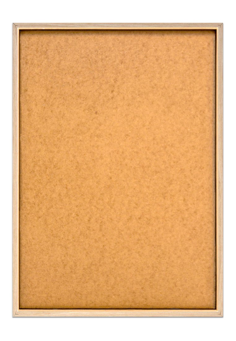 Orange Wallz HERBARIUM