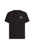Schwarzes Baumwoll-T-Shirt mit rundem Ausschnitt. Verfügt über einen kleinen, farbenfrohen Grafikdruck auf der linken Brust. Kurze Ärmel, lockere Passform.