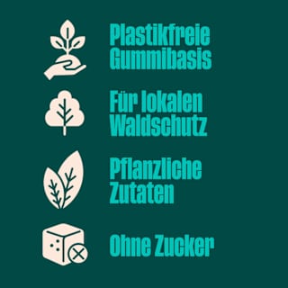 Kaugummi, Minze, zuckerfrei (10 Stück) Forest GUM