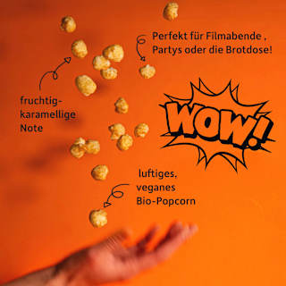 Kindersnack Poppies Apfel-Karamell Style, für Schulkinder Freche Freunde