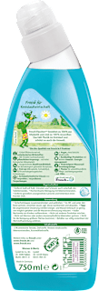 WC-Reiniger Meeresmineralien Frosch