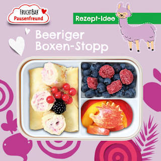 Kindersnack Pausenfreund Hafer-Happen, Himbeere, Apfel & Rote Bete ab 3 Jahren FRUCHTBAR Pausenfreund