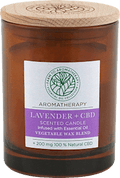 Duftkerze im Glas Aromatherapy Lavender + CBD GALA