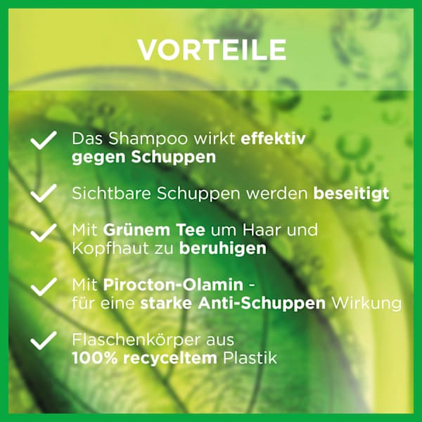 Shampoo Anti-Schuppen Classic GARNIER FRUCTIS