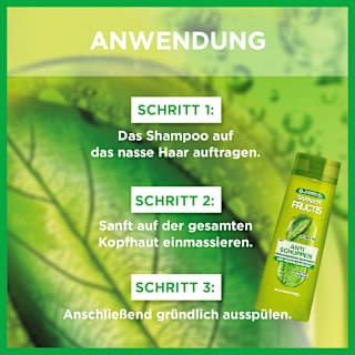Shampoo Anti-Schuppen Classic GARNIER FRUCTIS