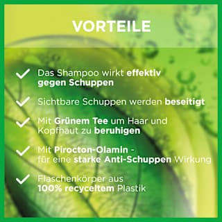 Shampoo Anti-Schuppen Classic GARNIER FRUCTIS
