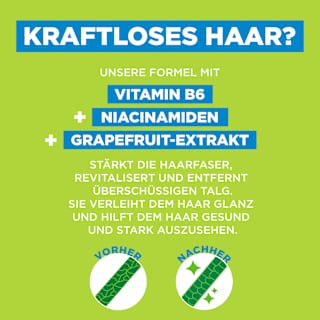 Shampoo Kraft & Glanz GARNIER FRUCTIS