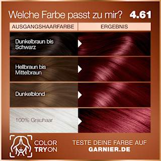 Haarfarbe 4.61 Sonnenaufgangs-Violett GARNIER GOOD