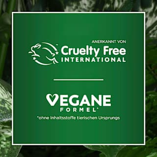 Haarfarbe 10.1A  Extra kühles Hellblond, 1 St GARNIER NUTRISSE