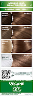 Haarfarbe 6 Karamell Dunkelblond GARNIER NUTRISSE
