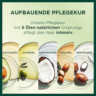 Haarfarbe 6N Nude Natürliches Dunkelblond GARNIER NUTRISSE