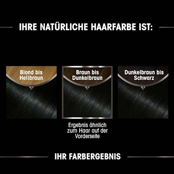 Haarfarbe 1.0 Schwarz GARNIER olia