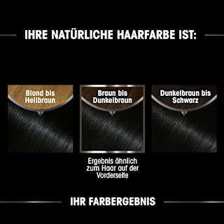 Haarfarbe 1.0 Schwarz GARNIER olia