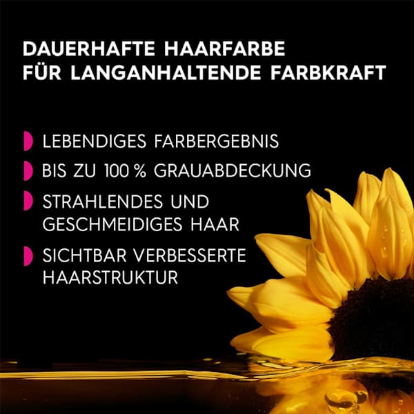 Haarfarbe 4.62 Kaschmirrot GARNIER olia