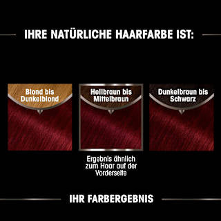 Haarfarbe 4.62 Kaschmirrot GARNIER olia